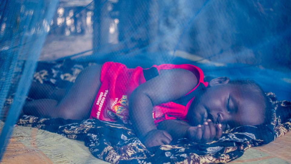 Malaria: qué es, síntomas y formas de evitarlo