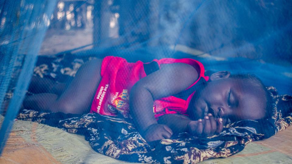 Malaria: qué es, síntomas y formas de evitarlo