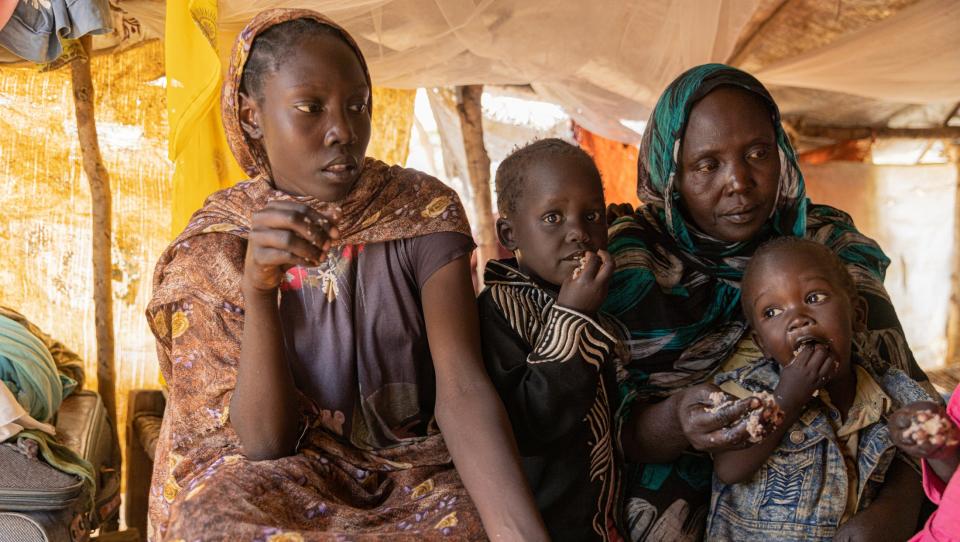 733 millones de personas pasan hambre en el mundo