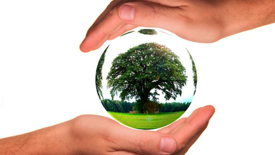 Responsabilidad Social Corporativa (RSC): qué es y sus ventajas