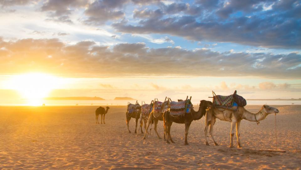 5 rutas por Marruecos para enamorarte