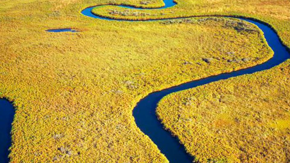 Delta de Okavango: un lugar único