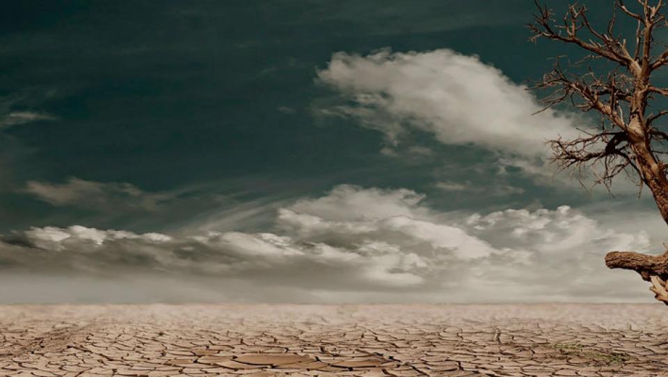 Sequía: causas y consecuencias de un mal que se expande