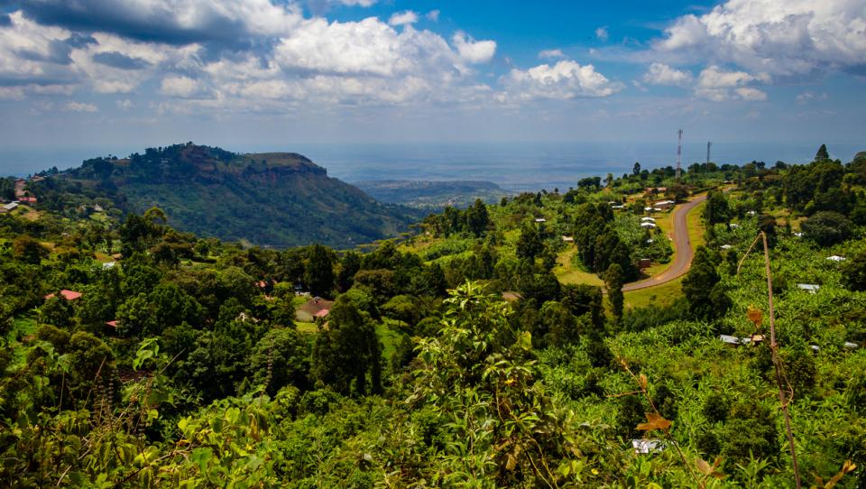 ¿Quieres hacer un voluntariado en Uganda este verano?